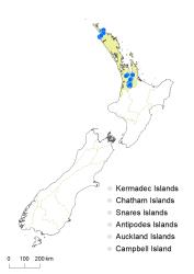 Lycopodiella serpentina distribution map based on databased records at AK, CHR & WELT.
 Image: K.Boardman © Landcare Research 2019 CC BY 4.0